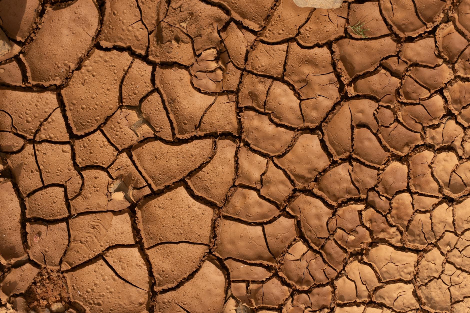 Cracked clay soil showing the type of expansive earth found under Houston home foundations